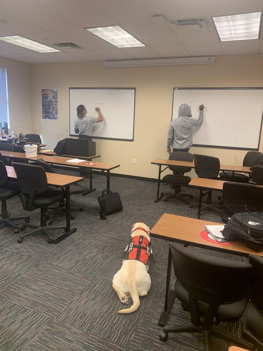 OscarTherapyDog's tweet photo. Last night during class Oscar was making sure the students were writing the correct answers. #therapydog #emt #students #futureemt #firstresponders #firefighter #giveback #mentor #dogsoftwitter #dogs https://t.co/89tcXFvgHr