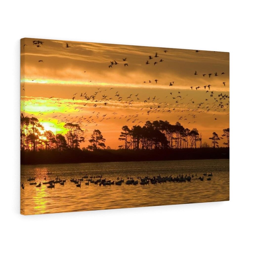 ChiqueArt10's tweet photo. Excited to share this item from my #etsy shop: Sunset Canvas 2022 #sunset #wallart #canvaswallart #canvas #sunsetcanvas #giftideas https://t.co/qj70CB5LAZ https://t.co/HLR2TYrbSY