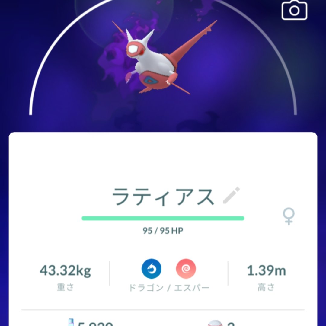 ﾗﾃｨｱｽ Twitter Search Twitter