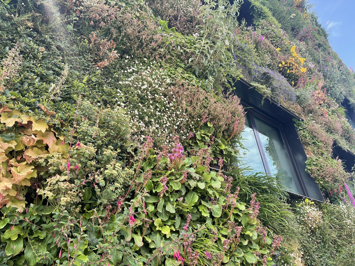 Arc2Principles's tweet image. Inspirende paviljoens en Schitterend weer @FloriadeExpo