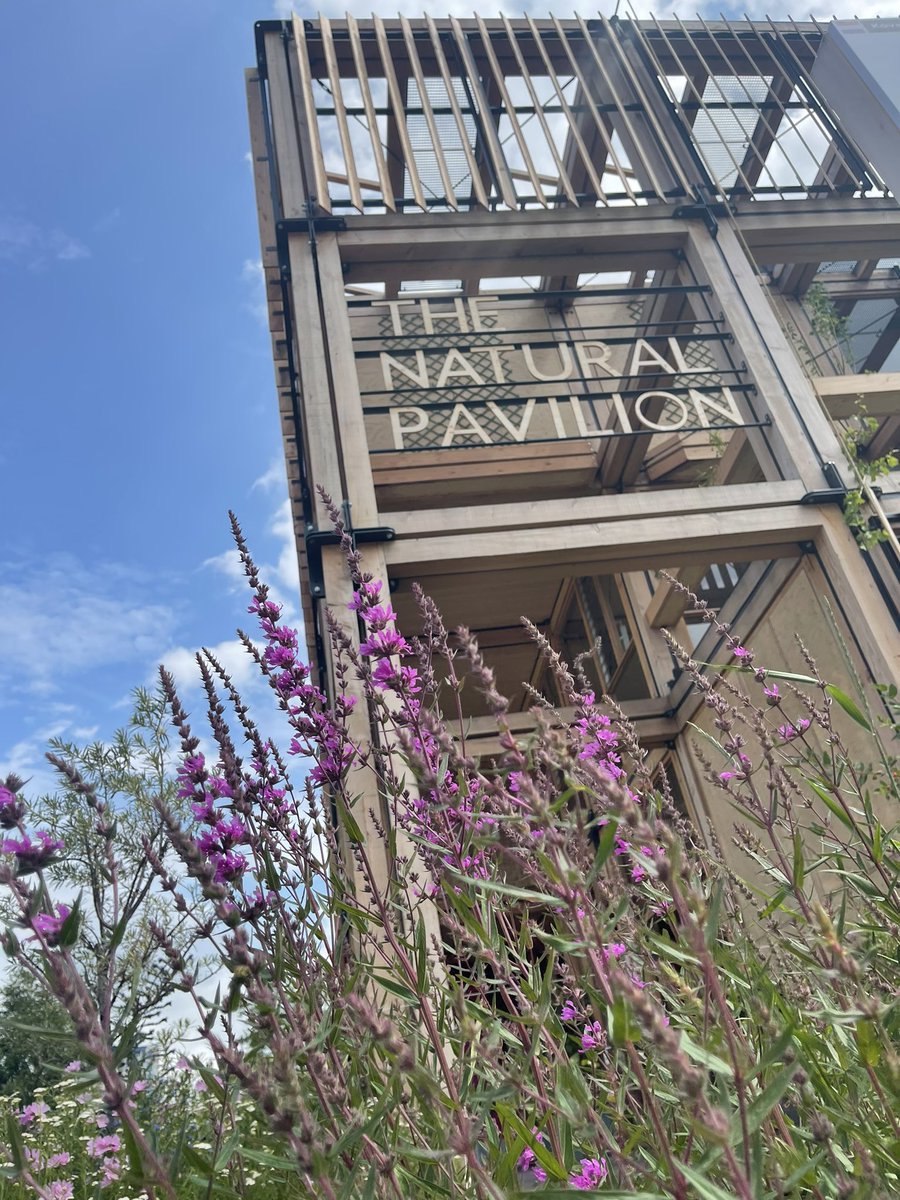 Arc2Principles's tweet image. Inspirende paviljoens en Schitterend weer @FloriadeExpo