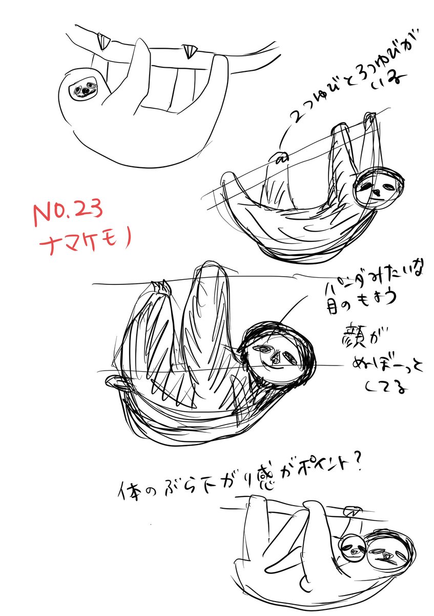 23種類め ナマケモノ

体も頭も疲れていて、描きながらこのフォルムに癒されてしまった〜〜。

#動物50種類暗記チャレンジ
#コルクラボマンガ専科 
#コルクアートクラス 