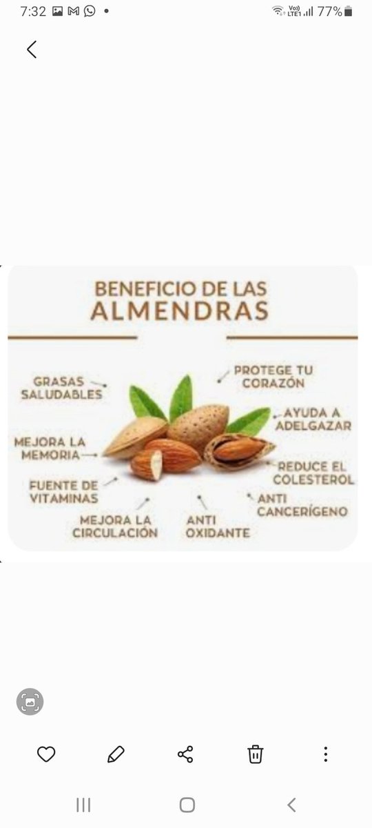 magraziagirone's tweet photo. #Almendra alimento perfecto para  #diabetes #obesidad y  #prediabetes lo  dice @MarthaE07986961 yo lo recomiendo a  diario e tu? @CristobMorales @verozambrano593 @drfherediaz @rafael52987 @hugocorralesMD @dremarquezr @endocatracha @FrankSuarezTv @BertomeuLorenzo @fjavesc @Carig2 https://t.co/zgTRYQcDee
