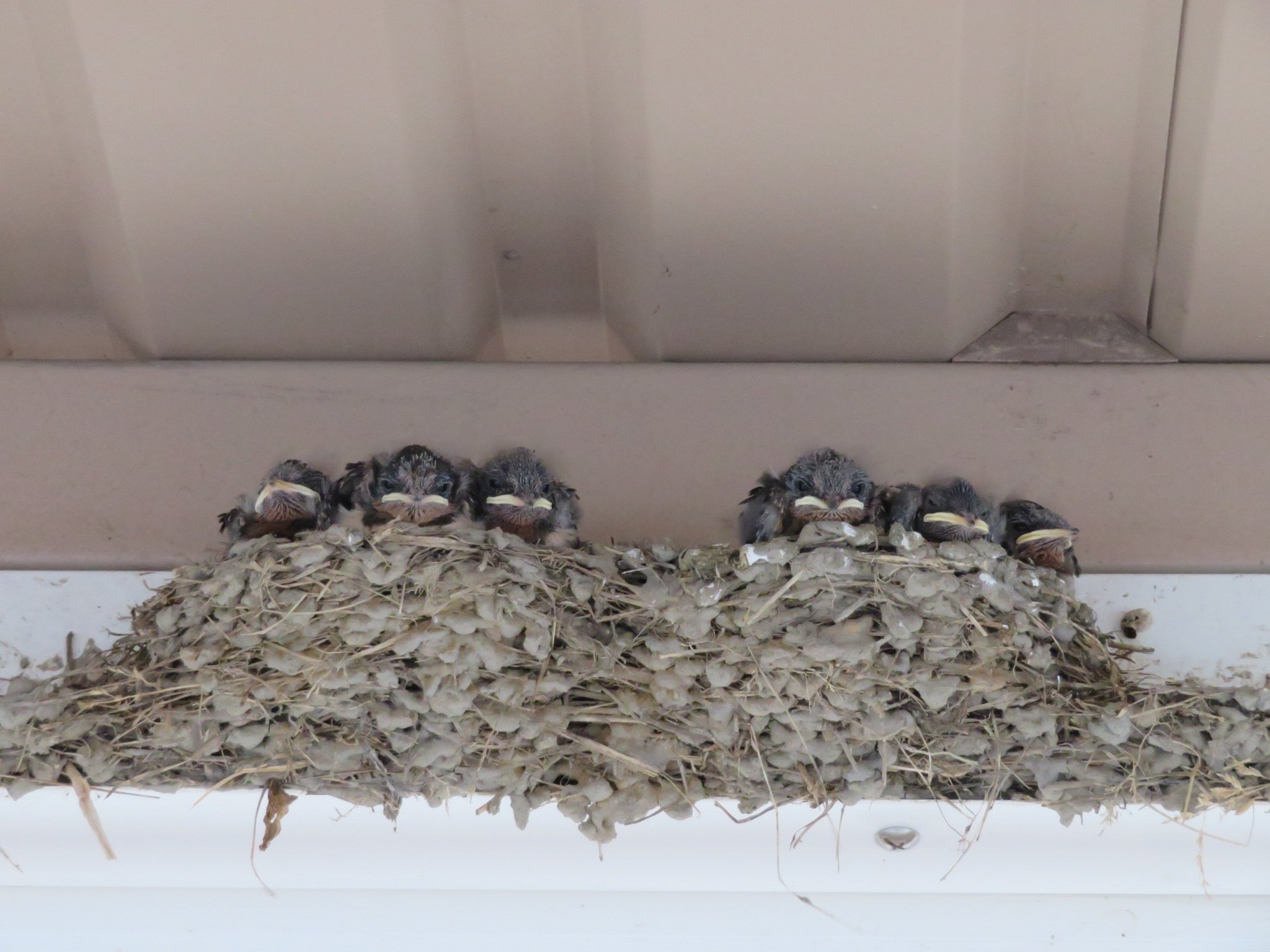 かずちん (@kazuchin0801) / X