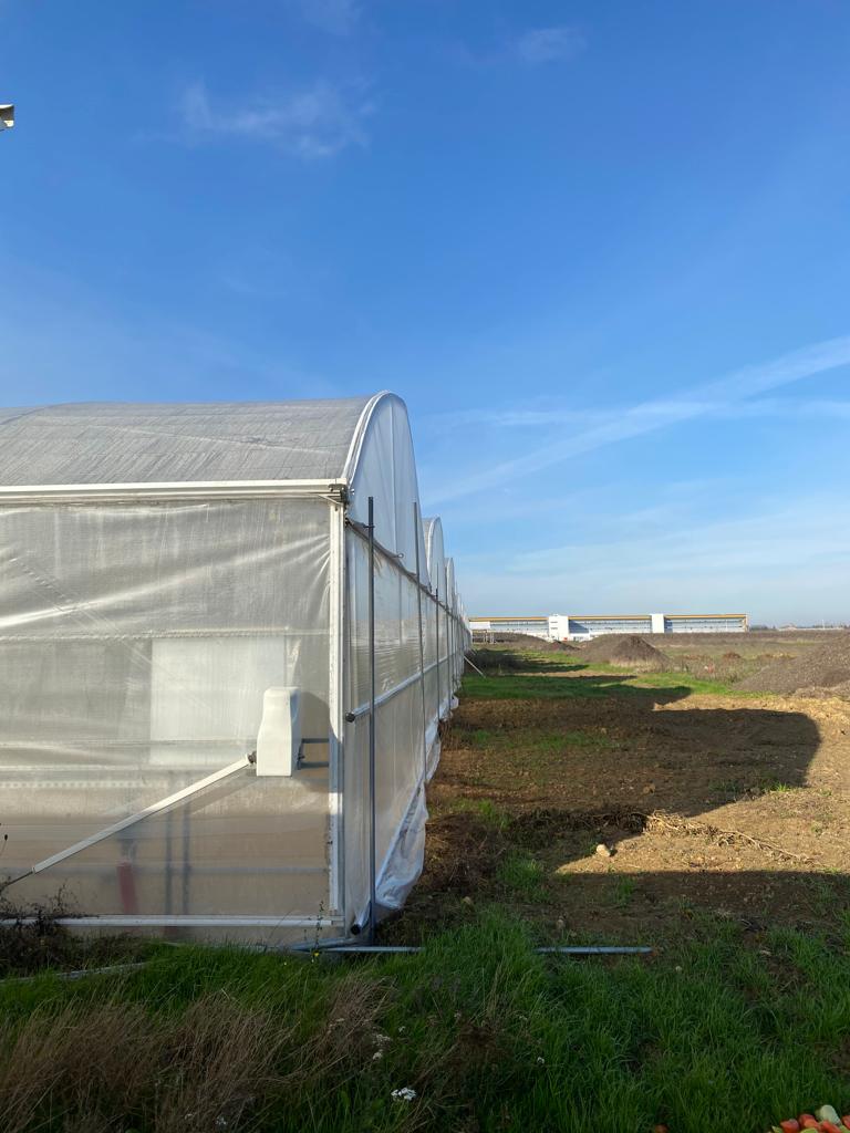 La Base 217 tweet media