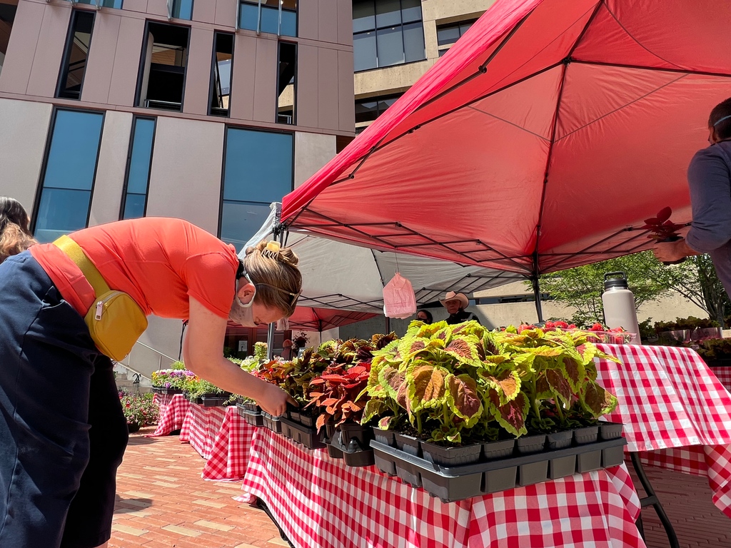 University of DC on Twitter "HAPPENING NOW UDC Farmers Market from