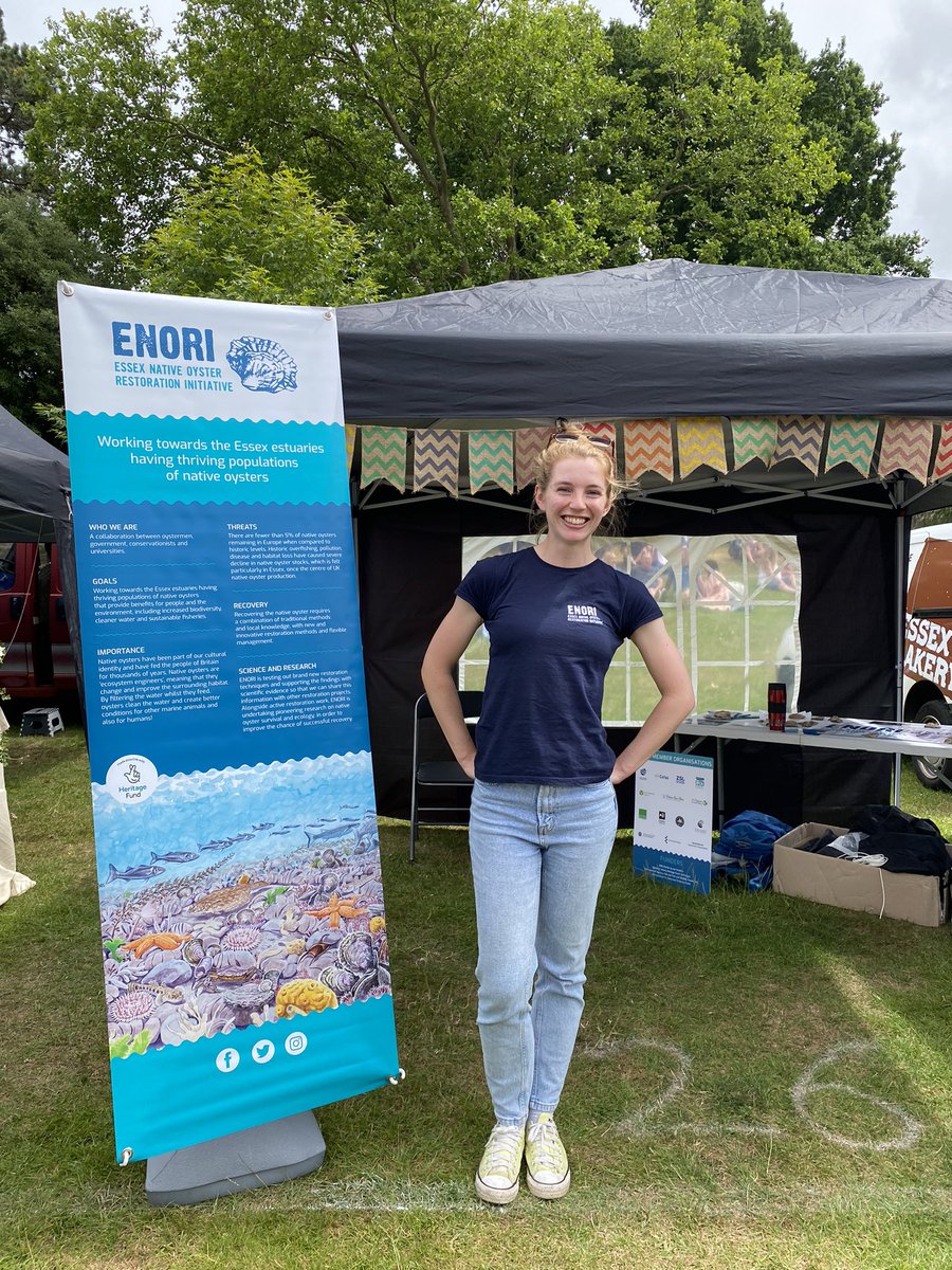 We’re at the Colchester Food and Drink Festival today and tomorrow in Castle Park, drop by the ENORI stall to say hello!