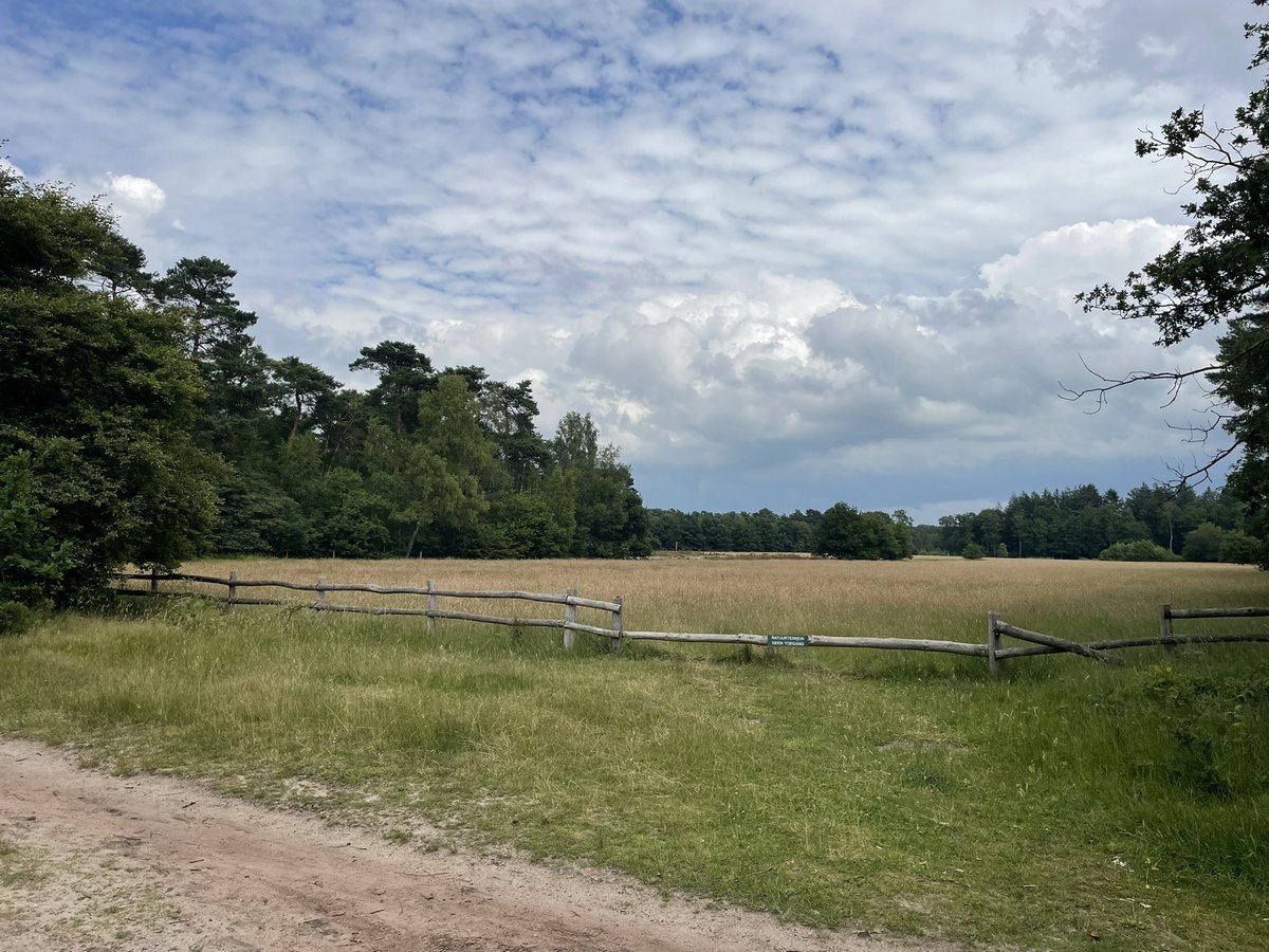 Ik heb vandaag 30 km gewandeld door een deel vd Gelderse vallei. Een prachtig gebied waar volgens de stikstof plannen een groot deel van de boerderijen moet verdwijnen. Maar boeren hebben dit landschap gemaakt en onderhouden, wie gaat dat straks dan overnemen? #steundeboeren