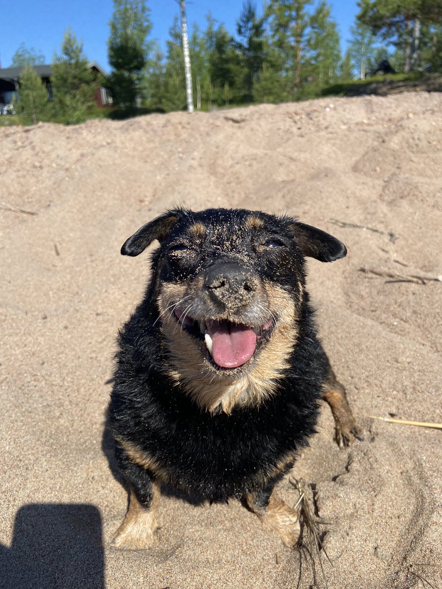 #tarkenee #juhannus2022