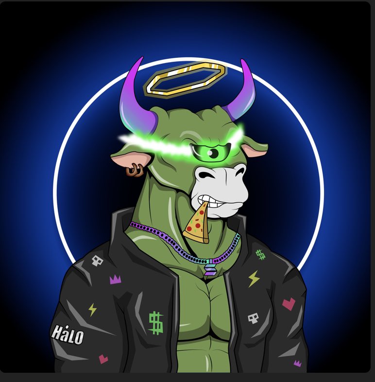 CRYPT0NOMIST's tweet photo. @solnft_king @halo_labsnft #HaloFlip and #HaloBulls https://t.co/SXUgFq9Wad