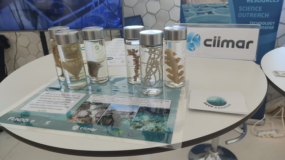 deepbaseline's tweet photo. Joining today’s special event of the #UNOceanConference in Matosinhos! Come by to know more of how we are co-developing a knowledge base of #deepsea #biodiversity with our local fishing communities 🪸🦀🐟
#OceanConservationFUND https://t.co/uDlQNr6DRn