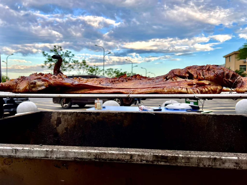 SusanMo9's tweet image. Good company with good products #socks