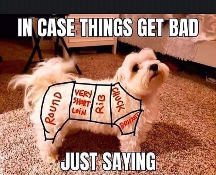 Just in case! Sorry Bingo! #foodie #economy #Emergency #AustinTx #doggie #petsoftwitter #dogmom #petmom #mcallen #family #Texas #BBQ #texasbrisket #steak #steaknight