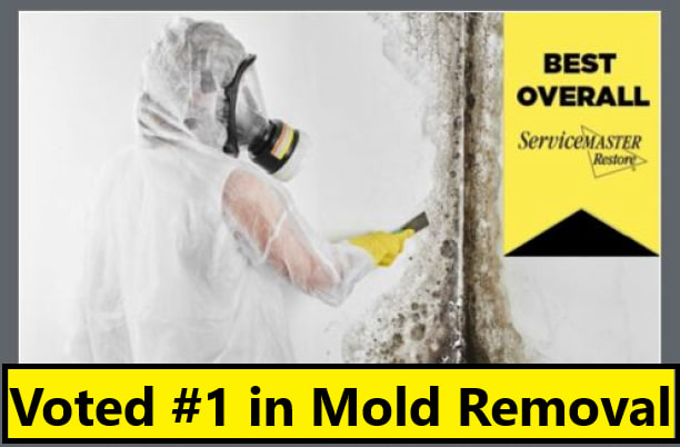 ServiceMaster CC tweet media