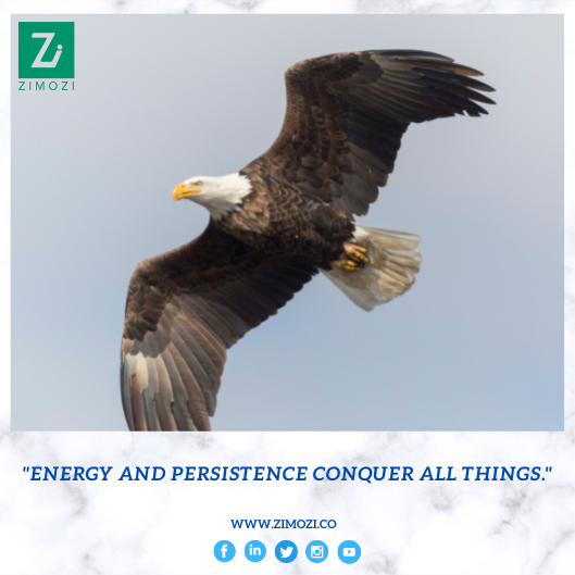 zimozians's tweet photo. Positive thoughts and action create the energy to do better.
.
.
.
.
#energy #willtodo #believing #confidence #conquer #zimozi #zimozisingapore #zimoziindia #zimozians https://t.co/BBJiCmMEfa