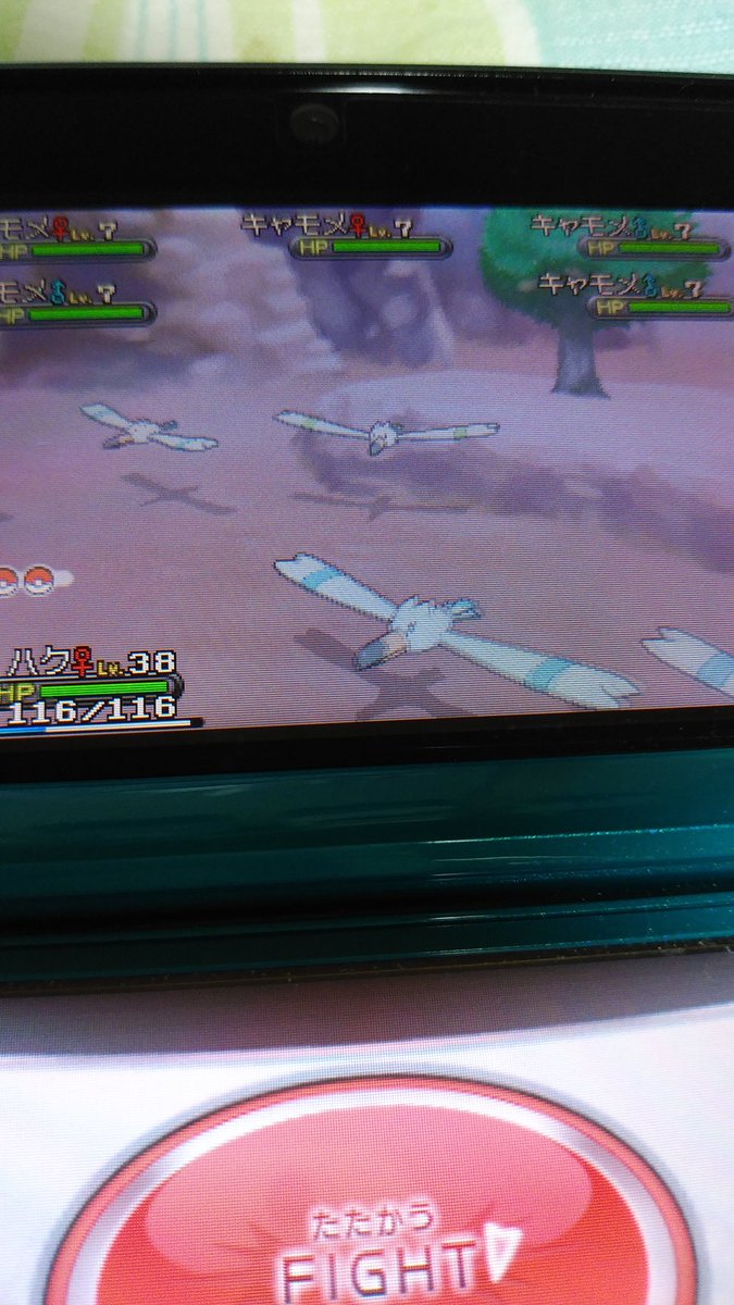 ダイパリメイク sp キャモメの色違い入手方法 ポケモンbdsp 攻略大百科