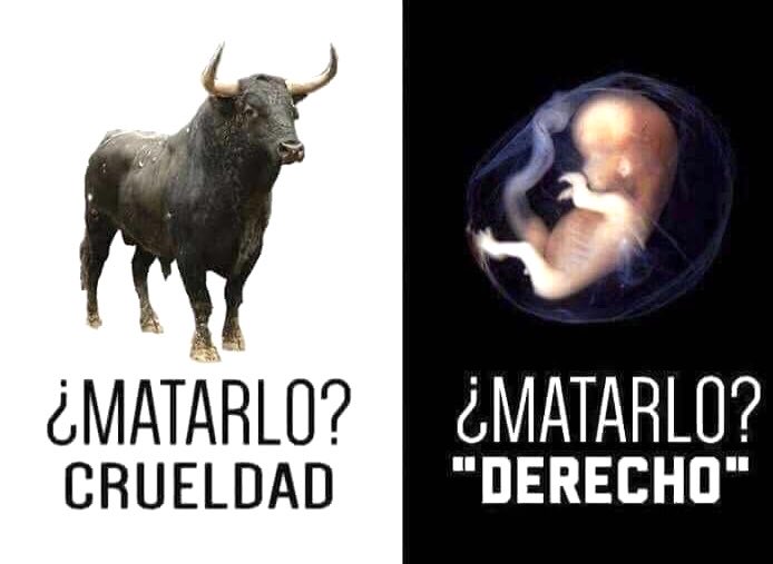 Alirio Bouquet M. tweet media