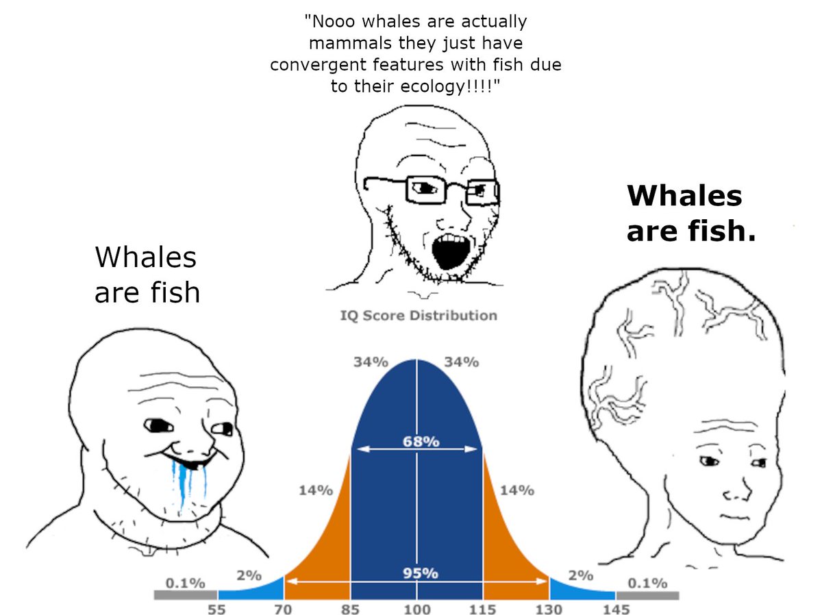 Dan F (@danpalaeon1) on Twitter photo 