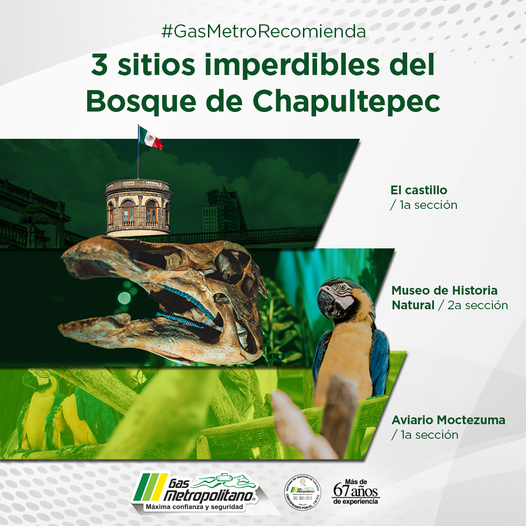 Gas Metropolitano tweet media