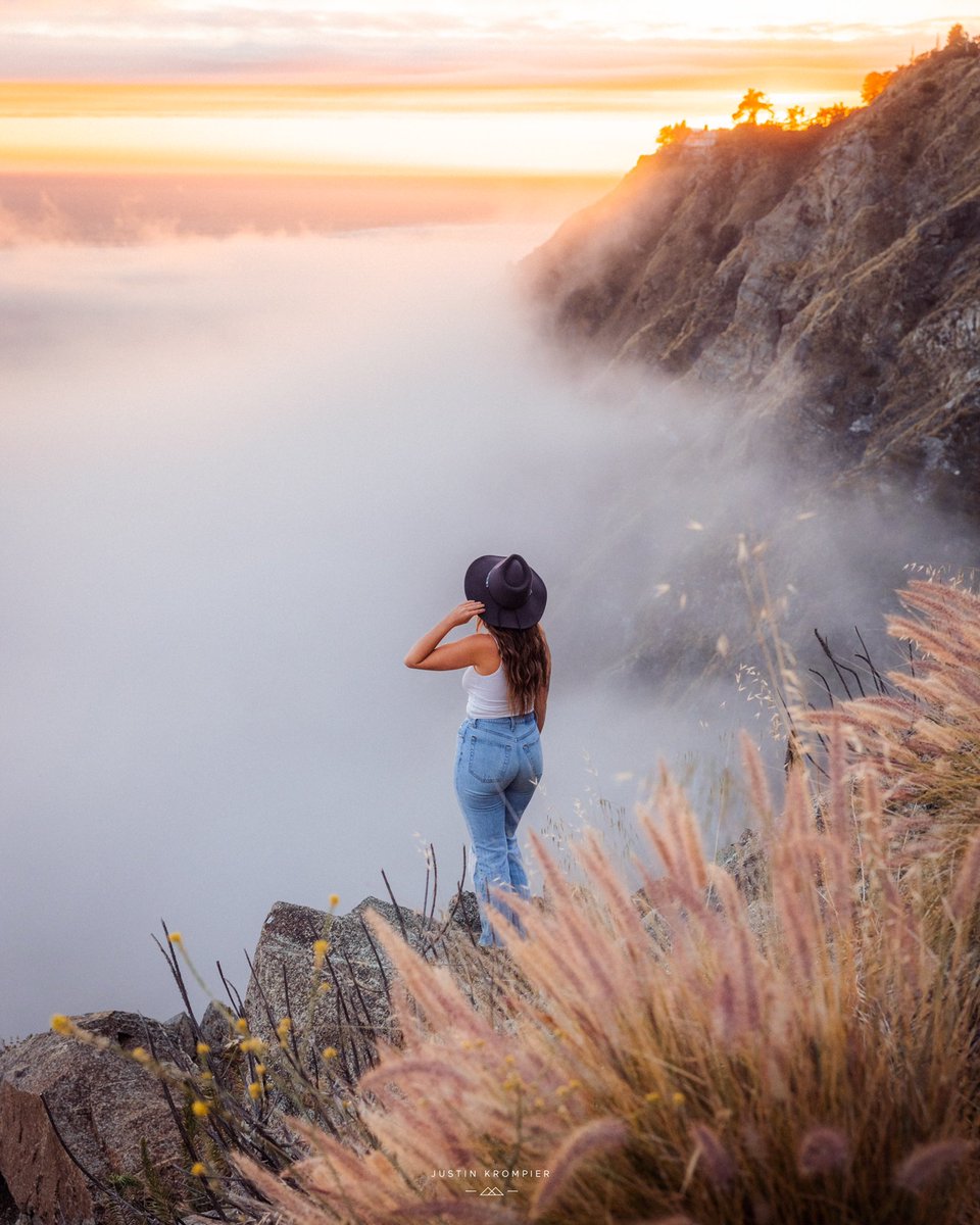 Gm NFT artists and collectors! A photograph I took in Big Sur with <a href="/emilyrainexo/">Emily ♡</a>