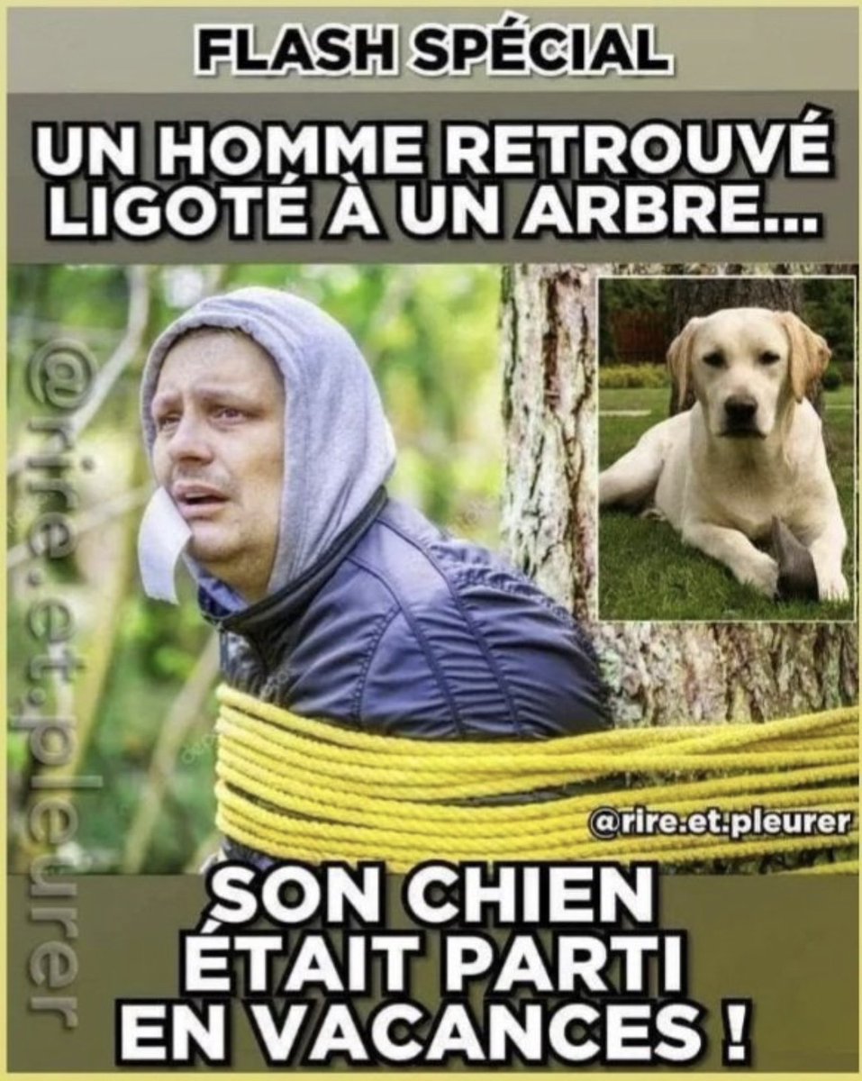 SandraKrief's tweet photo. Aujourd’hui, 25 juin, c’est la journée mondiale contre l’abandon…des animaux de « compagnie »

Accueillis de manière compulsive, ils sont, trop souvent, à l’approche des vacances, abandonnés comme des encombrants.

Luttons tous ensemble contre cette lâcheté banalisée! https://t.co/uCcHmoE2Tt