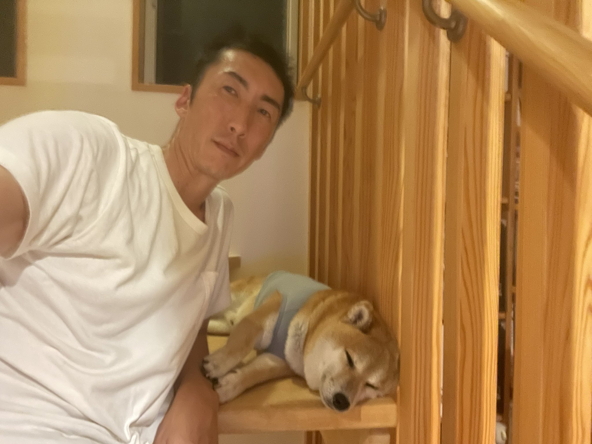 M Yutani 夏バテのケン 柴犬 夏バテ T Co Rypswzedwn Twitter M Yutani 夏バテのケン 柴犬 夏バテ T Co Rypswzedwn Twitter