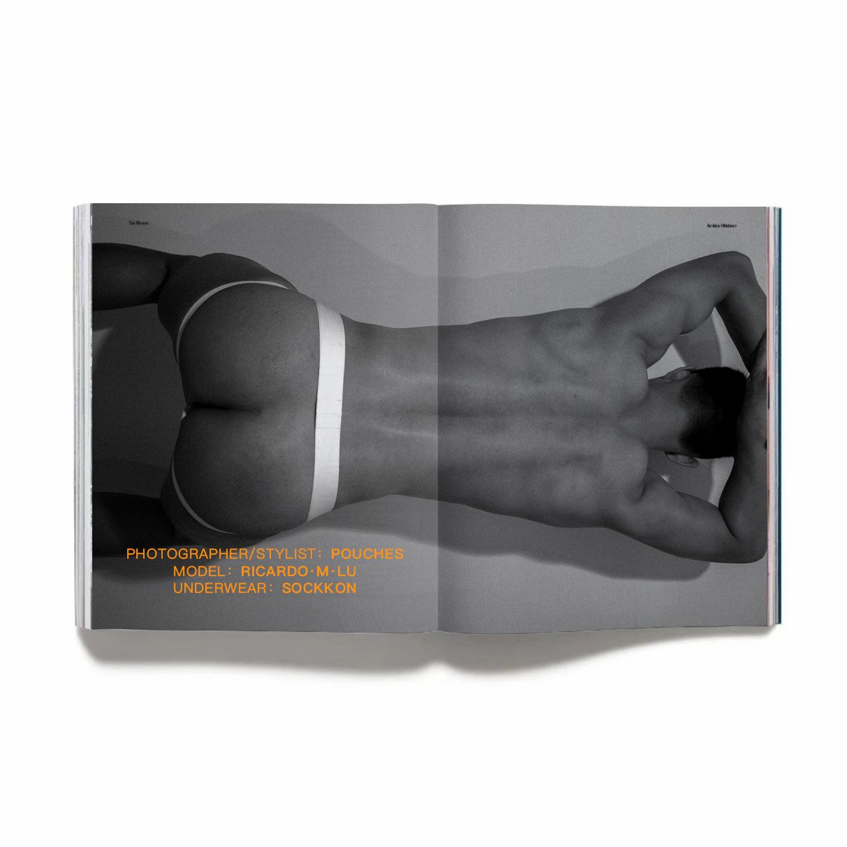 POUCHES (@pouchesstudio) on Twitter photo 