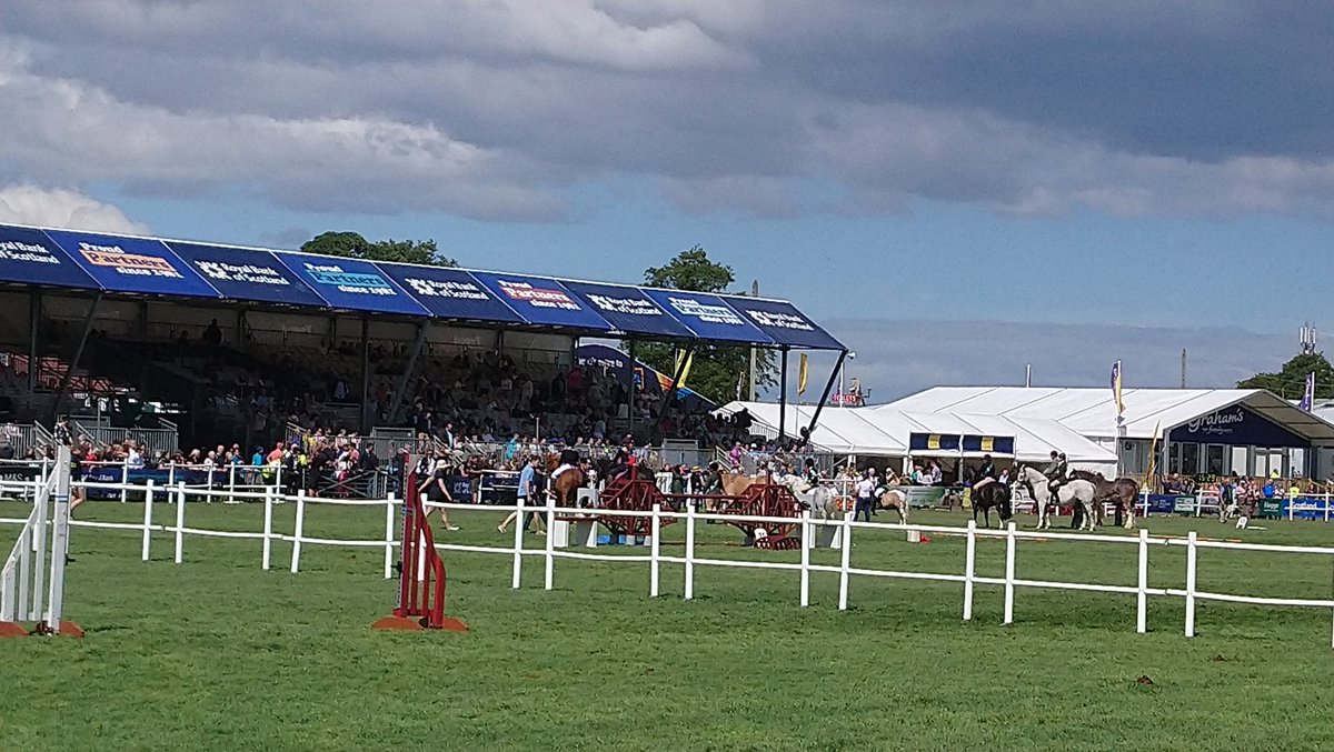 . <a href="/GrassSickness/">Grass Sickness Fund</a> survivor pararde at <a href="/ScotlandRHShow/">Royal Highland Show</a> today
<a href="/bethwells173/">Beth Wells</a>