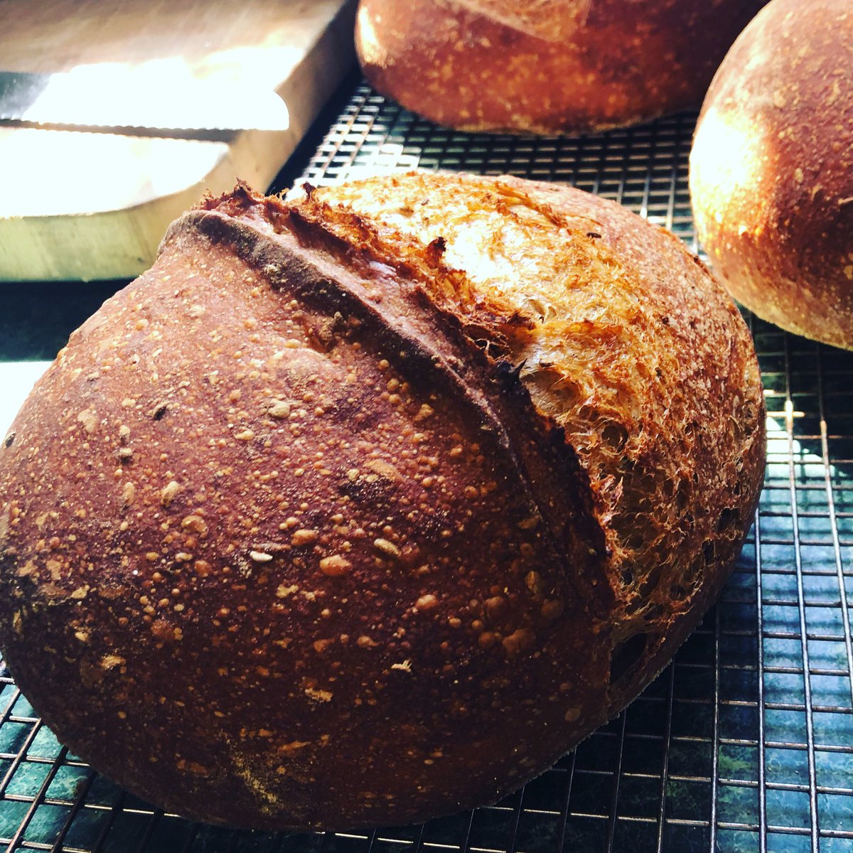 Molasses Rye #Sourdough with extra caraway seeds fresh out of the oven. First person to message me (and can come pick it up today) gets a free loaf. 

#bread #food #Maine #visitMaine #lodge #vacation #Maineisgorgeous #MaineSportingCamp #dining  #bedandbreakfast #MtChaseLodge
