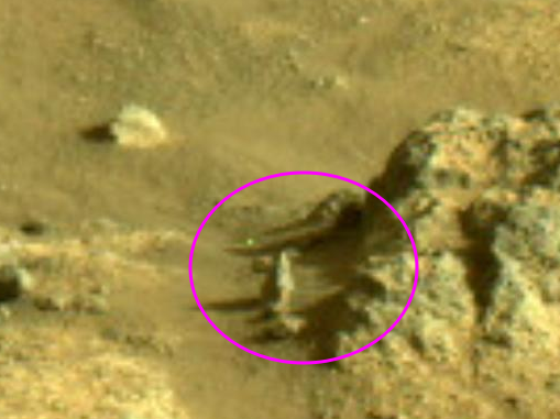 curioushag's tweet photo. #Mars #civilization  #disclosure #ufo @ThisLife___Mine  @search_mars  @PostDisclosure 
⚠️ Mars had a civilization. 
And this is what was left of it. 

I don't know the purpose to hide this information from the public. Fear ? Power ? Who knows.

Look closely.. https://t.co/QcfaxLa9Qo