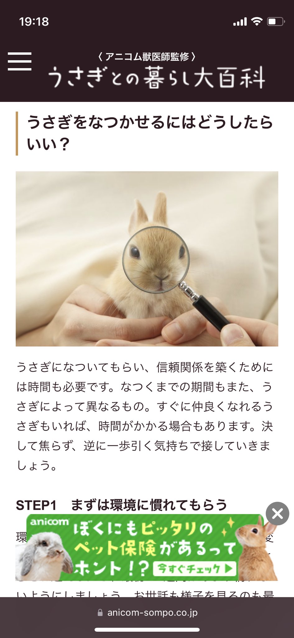 うさぎのこみちゃた通信 Comimi Usg3 Twitter