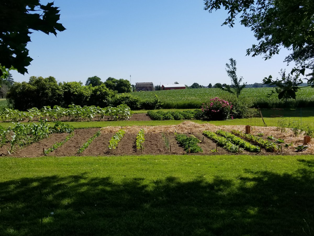 MarkC_289's tweet photo. And, yes, for anyone wondering, we have 3 vegetable gardens, as well.🤷♂️
#gardening #gardeners #gardens #YardWorkOut https://t.co/VX7XEhWjpe