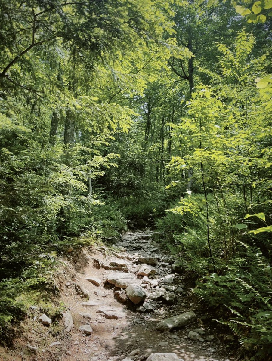 Rosa070785's tweet photo. New York Hiking⛰⛰
#Hiking #Newyorkweekend https://t.co/s88wR71RcQ