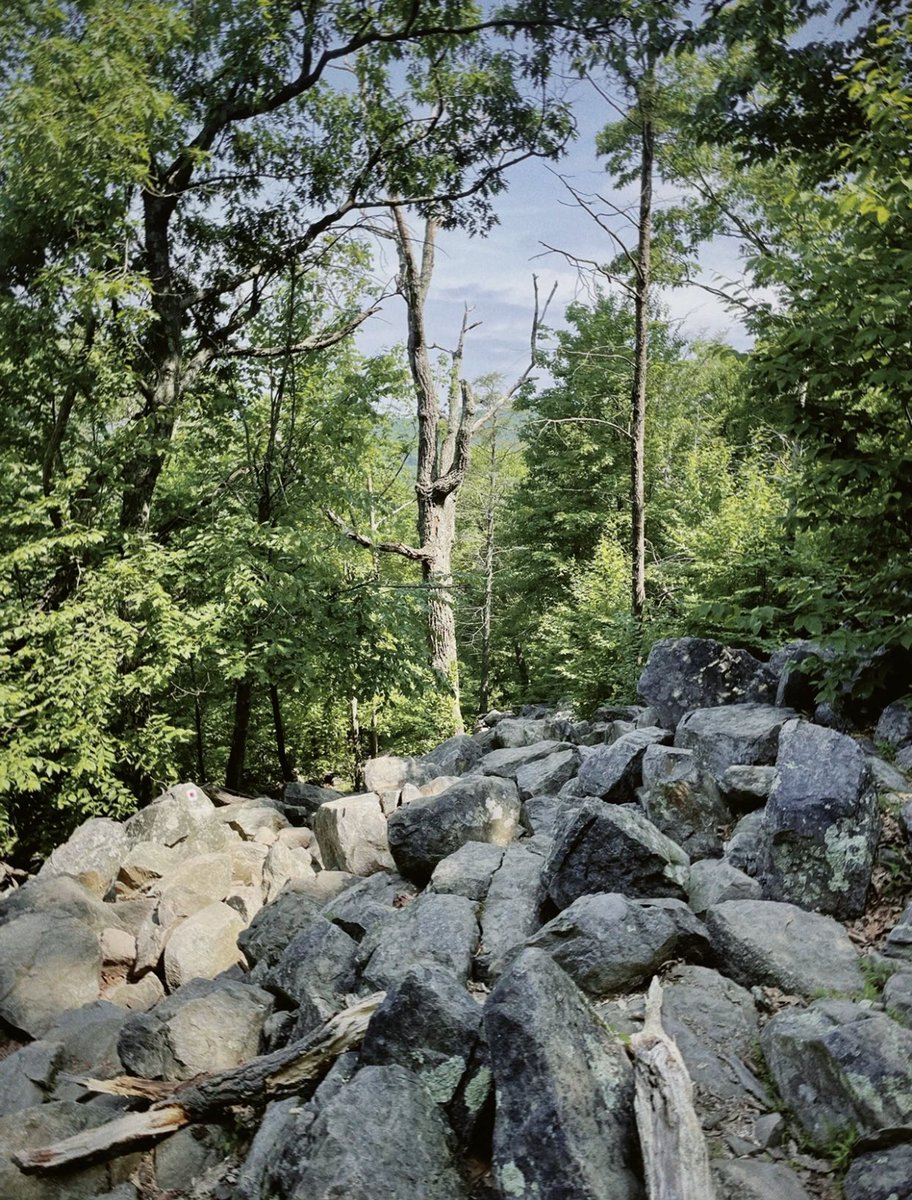 Rosa070785's tweet photo. New York Hiking⛰⛰
#Hiking #Newyorkweekend https://t.co/s88wR71RcQ