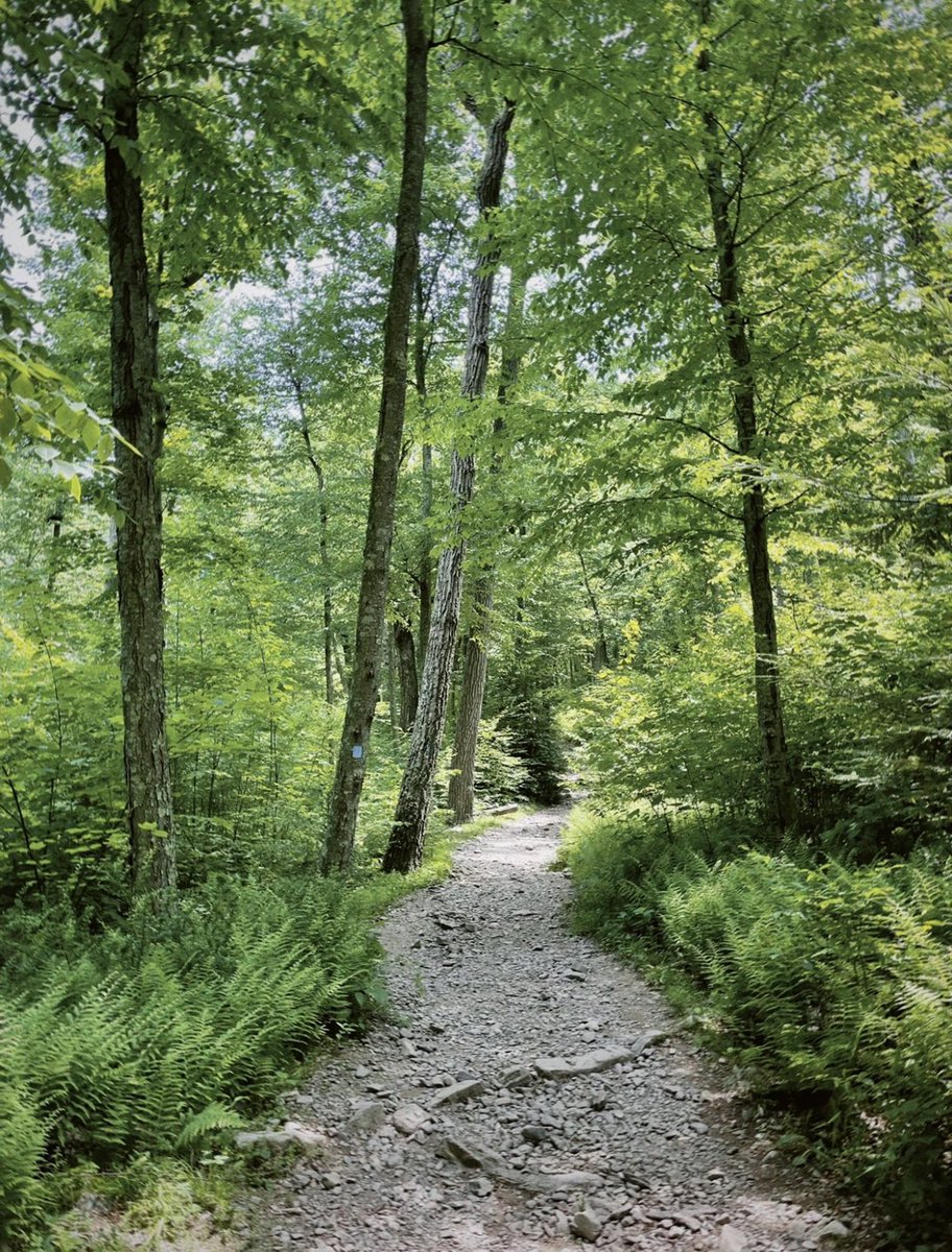 Rosa070785's tweet photo. New York Hiking⛰⛰
#Hiking #Newyorkweekend https://t.co/s88wR71RcQ