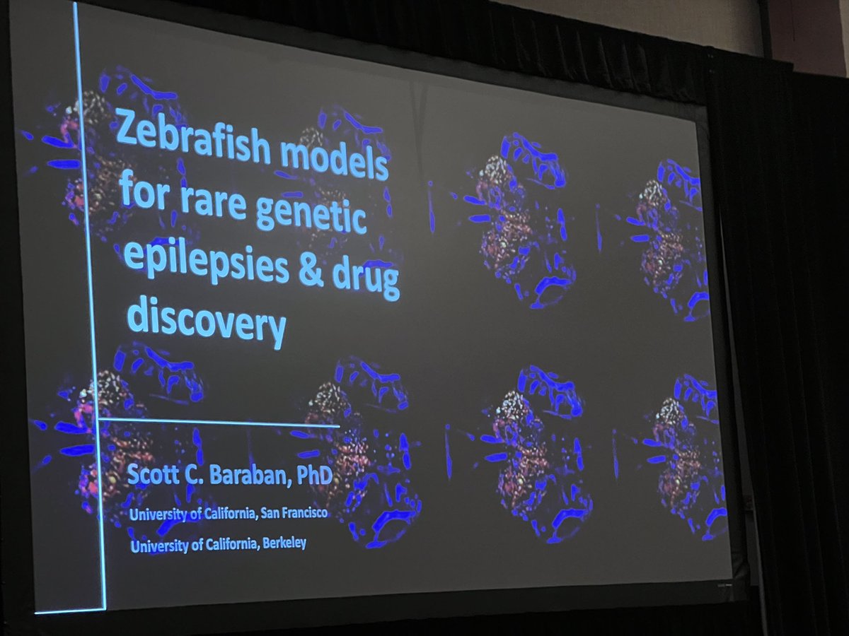 JMGraglia's tweet photo. We’re back at #DSFinDFW with @curedravet - day 3. Starting strong with legend @BarabanLab talking zebra fish. (cc @DallmanLab & @BCH_PoduriLab) sharing their work to #cureDravet. It’s an inspiring story. https://t.co/2AbWZH7rWi