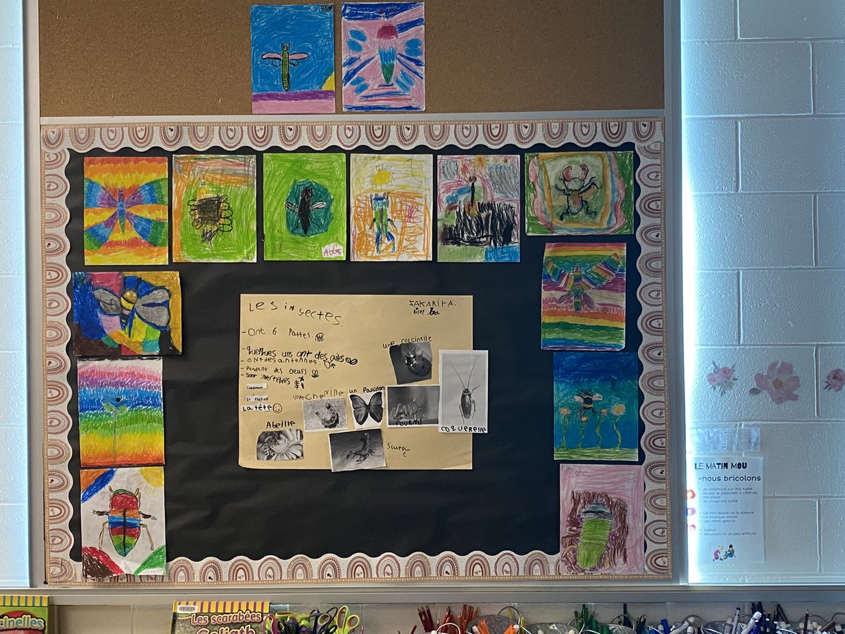 MmeHeckman's tweet photo. Co-created animal classification posters and display boards 🐊🐝🦈🦅🐸😍 #BetterTogether @PLRobertsonPS https://t.co/CKBTaMbM8J