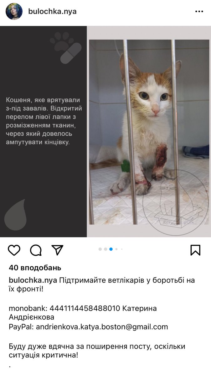honey_dragon_'s tweet photo. ‼️‼️‼️‼️ХАРКІВ‼️‼️‼️‼️‼️‼️‼️
‼️‼️‼️‼️‼️ПОШИРТЕ‼️‼️‼️‼️‼️‼️СИТУАЦІЯ КРИТИЧНА‼️‼️‼️‼️‼️ https://t.co/fjIRSopphB