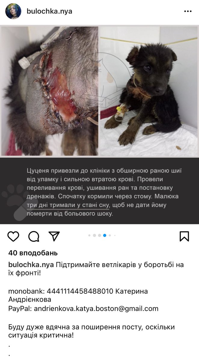 honey_dragon_'s tweet photo. ‼️‼️‼️‼️ХАРКІВ‼️‼️‼️‼️‼️‼️‼️
‼️‼️‼️‼️‼️ПОШИРТЕ‼️‼️‼️‼️‼️‼️СИТУАЦІЯ КРИТИЧНА‼️‼️‼️‼️‼️ https://t.co/fjIRSopphB