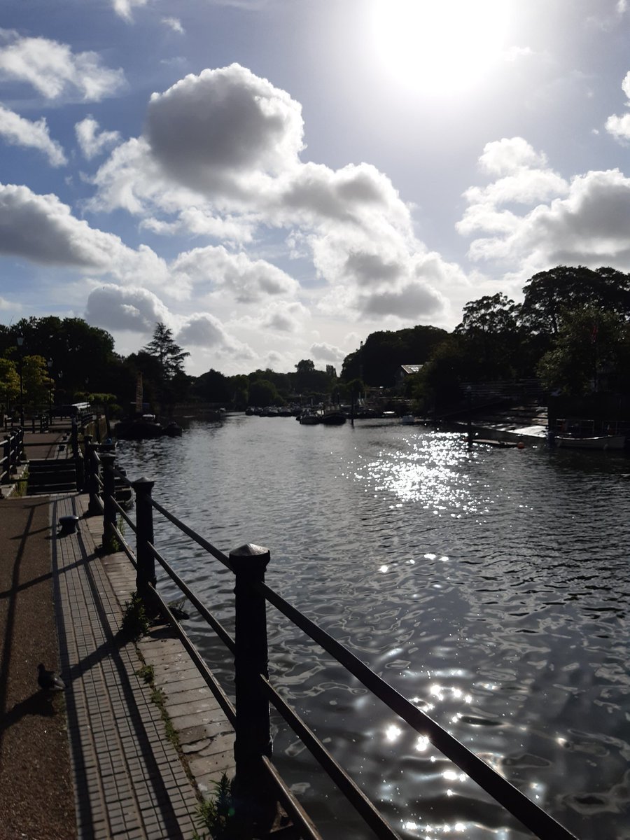 Beth Wright tweet media