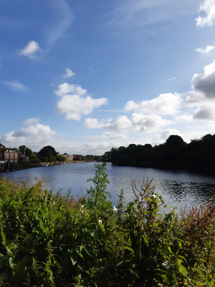 Beth Wright tweet media