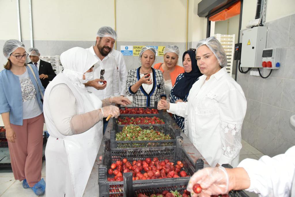OzgulOzkanYAVUZ's tweet photo. Balıkesir, Sındırgı’da Milletvekilimiz Mutlu Aydemir ve Başkanımız Ekrem Yavaş’la

📍İda Madra Jeoparkını
📍Lavanta bahçelerini
📍Jeotermal enerji kullanan Sebze ve Meyve Kurutma Tesisini ziyaret ettik. 

Balıkesir ve Sındırgı doğa turizmi ve sporları için eşsiz bir destinasyon! https://t.co/XRdjNWedgQ