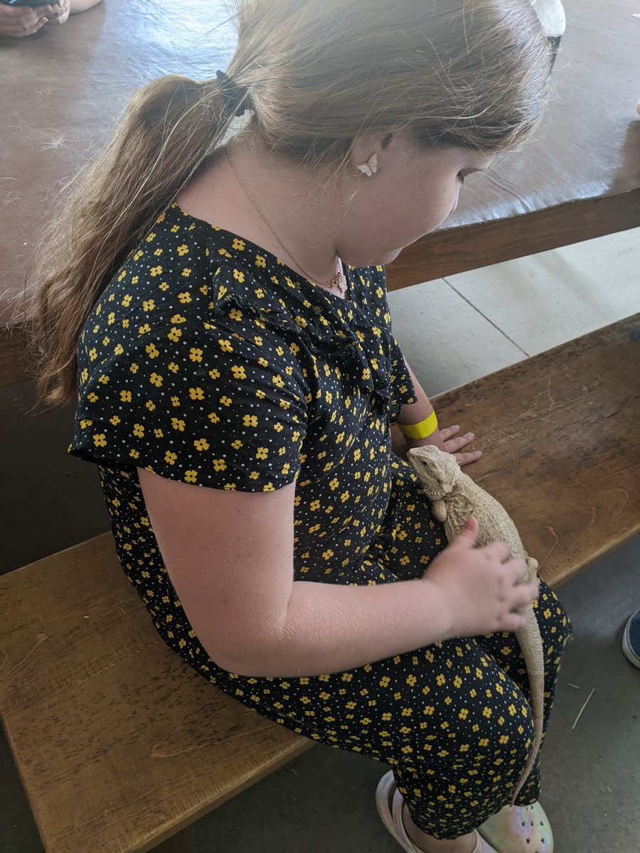 danmort72073134's tweet photo. @HartleyBrookPri Emily wanted to share this https://t.co/lTXvtuRSA3