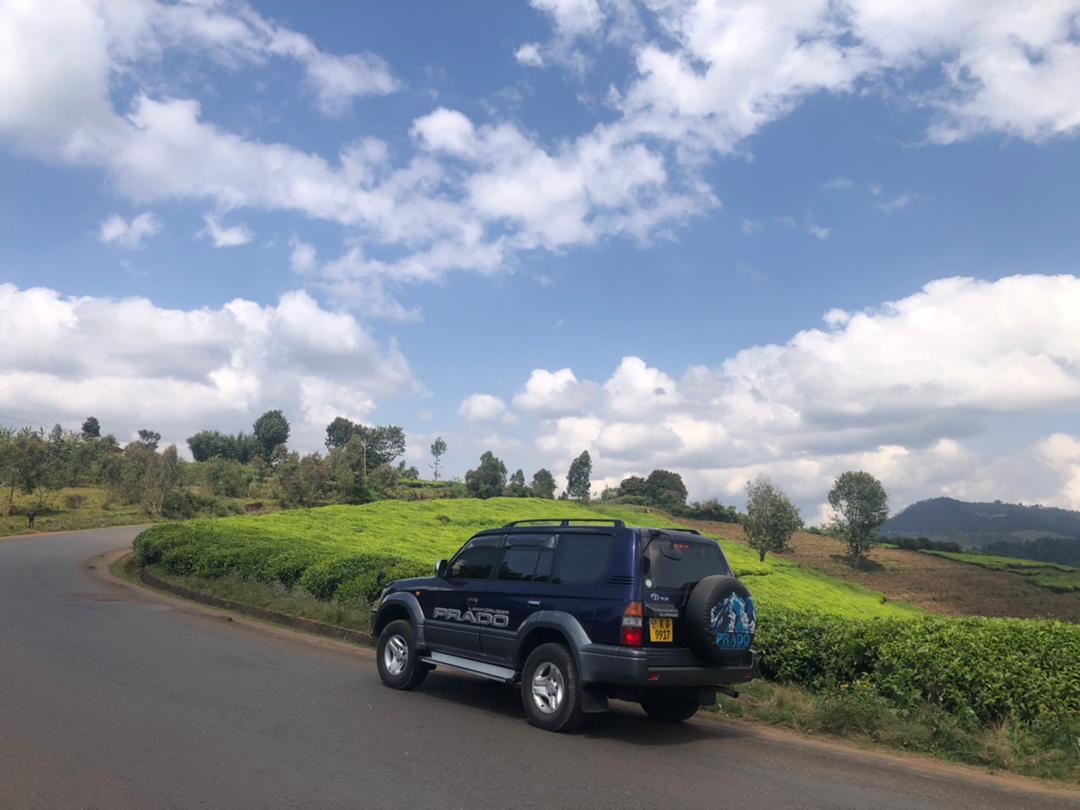 tanganyikalinks's tweet photo. Explore Burundi with us, à road trip.
📍 Tora tea plantation
tanganyikalinkstours@gmail.com
#roadtrip #triproad #visitburundi #Burundi #teaplantation #weekendtrip https://t.co/vO6QUMIaHR