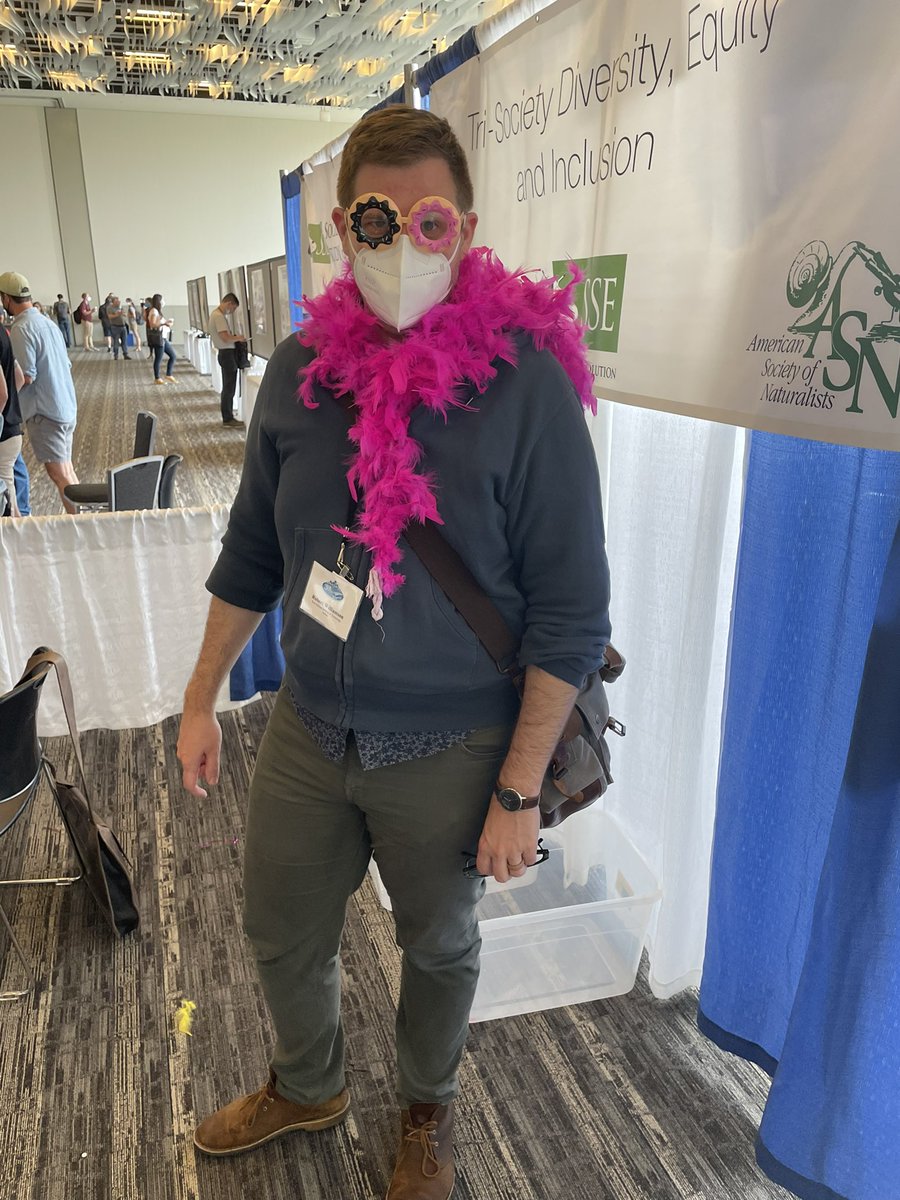 Robert Williamson tweet media