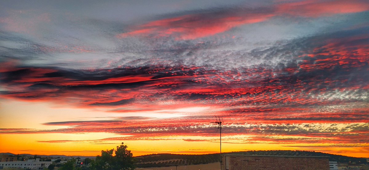 video2paco's tweet image. Rojo atardecer 25/06/22 #Puertollano  #Primavera2022 @MundetPilar @madorobla @ElTiempo_tve @meteocr @meteocastuera @ElTiempoCMM @rasalvi49 @AEMET_CLaMancha @lasextameteo @castan_tere @aquilatierratve @tiempobrasero @eltiempoGCM  @tablas_daimiel