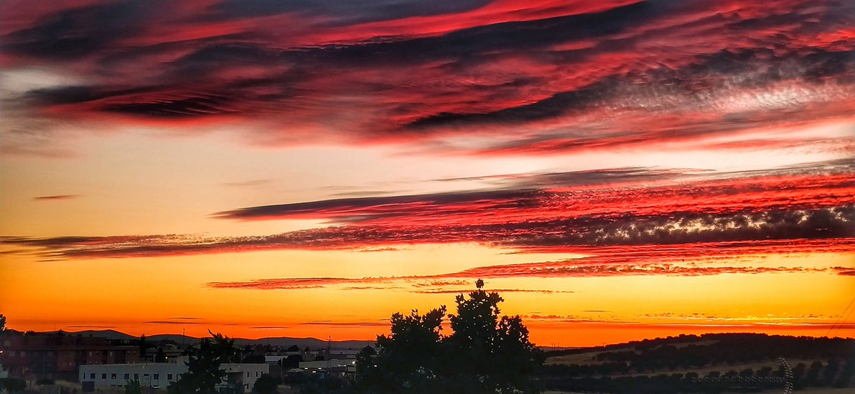 video2paco's tweet image. Rojo atardecer 25/06/22 #Puertollano  #Primavera2022 @MundetPilar @madorobla @ElTiempo_tve @meteocr @meteocastuera @ElTiempoCMM @rasalvi49 @AEMET_CLaMancha @lasextameteo @castan_tere @aquilatierratve @tiempobrasero @eltiempoGCM  @tablas_daimiel