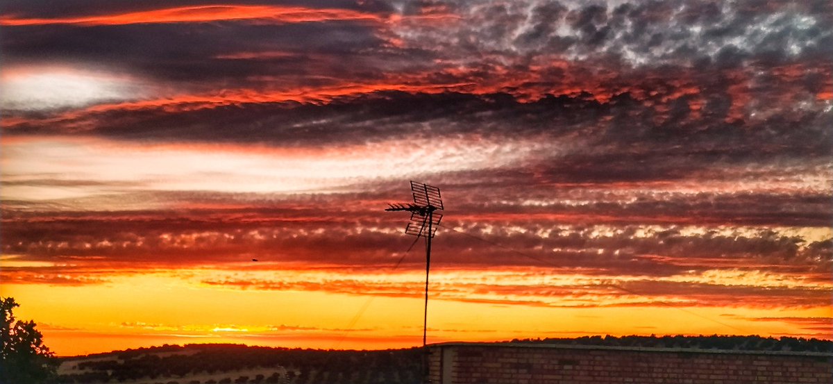 video2paco's tweet image. Rojo atardecer 25/06/22 #Puertollano  #Primavera2022 @MundetPilar @madorobla @ElTiempo_tve @meteocr @meteocastuera @ElTiempoCMM @rasalvi49 @AEMET_CLaMancha @lasextameteo @castan_tere @aquilatierratve @tiempobrasero @eltiempoGCM  @tablas_daimiel