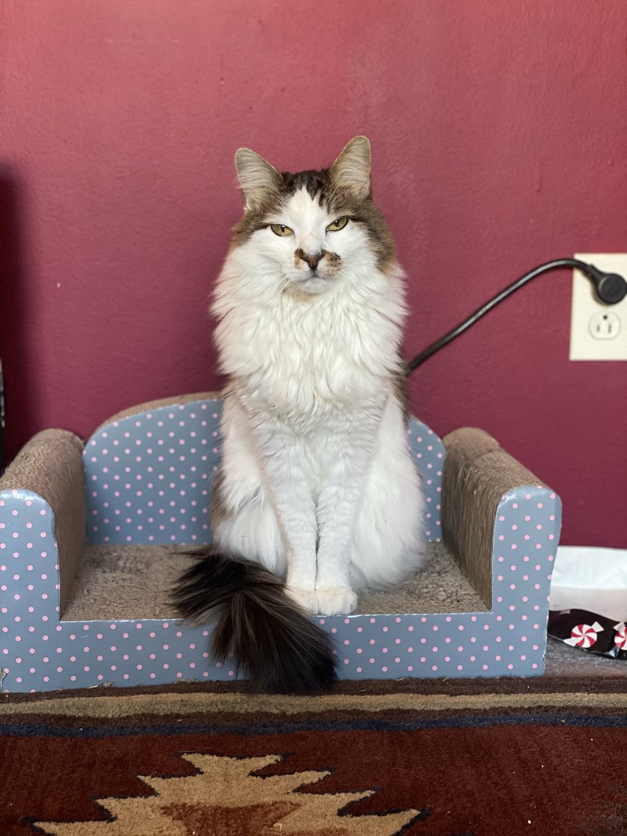 Mary - Being Leisurely tweet media