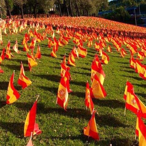 ANVAC_'s tweet photo. Con la bandera de todos🇪🇸 recordamos cada día a las víctimas del Covid en España. Que este recuerdo nos obligue a mantener viva la lucha en la busca de responsabilidades y respuestas sobre la gestión de la pandemia. 
Demasiadas mentiras y negligencias. 
#8MDiaVictimasCOVID https://t.co/SJt1OfLZ1F